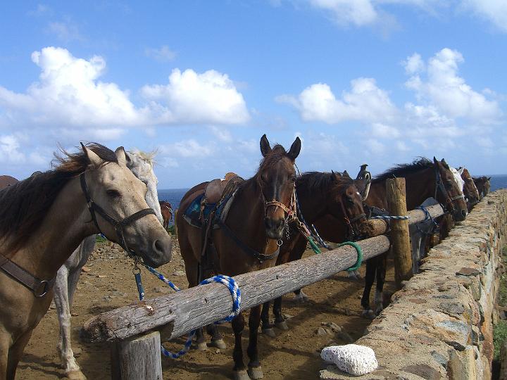 Aruba - January 2008 117.JPG